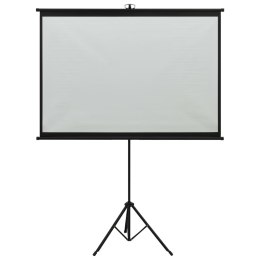 VidaXL Ekran projekcyjny ze stojakiem, 63'', 1:1