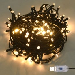 VidaXL Lampki LED, 300 diod, ciepła biel, 30 m, PVC