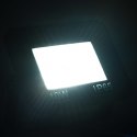 VidaXL Reflektor LED, 10 W, zimne białe światło
