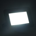 VidaXL Reflektor LED, 30 W, zimne białe światło