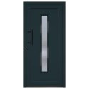 VidaXL Drzwi wejściowe, antracytowe, 98x200 cm, PVC