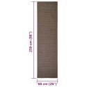 VidaXL Sizalowy dywanik do drapania, brązowy, 66x250 cm