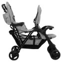 VidaXL Podwójny wózek spacerowy, jasnoszary, stalowy