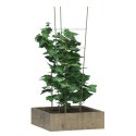 VidaXL Podpórki dla roślin, z 4 obręczami, 5 szt, zielone, 90 cm, stal