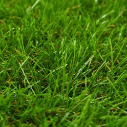VidaXL Sztuczny trawnik, 0,5 x 5 m; 40 mm, zielony