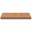 VidaXL Blat do łazienki, 100x60x4 cm, lite drewno bukowe