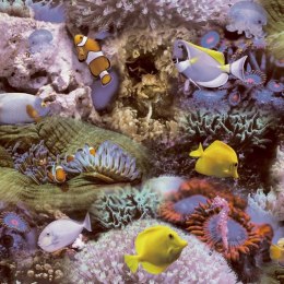 Good Vibes Tapeta Coral and Tropical Fish, żółto-fioletowa