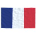 VidaXL Flaga Francji z masztem, 5,55 m, aluminium