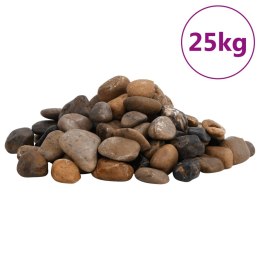 VidaXL Polerowane kamyki, 25 kg, różnokolorowe, 2-5 cm