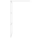 VidaXL Ścianka prysznicowa srebrna, 100x195 cm przezroczyste szkło ESG