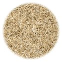 VidaXL Nasiona trawy na łąki i pastwiska, 10 kg