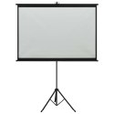 VidaXL Ekran projekcyjny ze stojakiem, 89'', 1:1