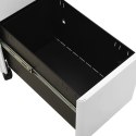 VidaXL Mobilna szafka kartotekowa, jasnoszara, 30x45x59 cm, stalowa