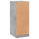 VidaXL Szafka garderobiana, szarość betonu, 48x41x102 cm