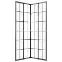 VidaXL Kabina prysznicowa, mrożone szkło ESG, 70x70x180 cm, czarna