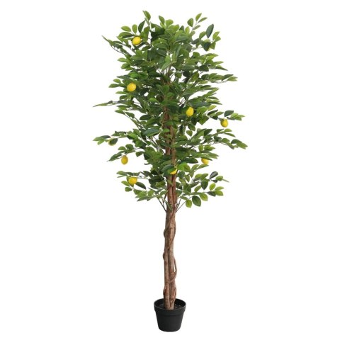 VidaXL Sztuczne drzewko cytrynowe na 3 pniach, zielone, 180 cm, PP