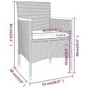 VidaXL 5-częściowy zestaw mebli ogrodowych, rattan PE i akacja, czarny