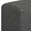 VidaXL 2 osobowa sofa tapicerowana ciemnoszara