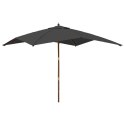 VidaXL Parasol ogrodowy na drewnianym słupku, antracyt, 300x300x273 cm