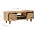 VidaXL Szafka pod TV, 120x30x40 cm, lite drewno mango