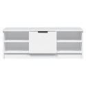 VidaXL Szafka pod TV, biała, 102x35,5x36,5 cm, materiał drewnopochodny