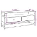 VidaXL Szafka pod TV, szary dąb sonoma, 100x35x45 cm