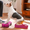 FitPAWS Platforma równoważna Mini K9FITbone, 2 szt., 29x16,5x6 cm