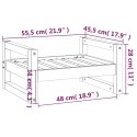 VidaXL Legowisko dla psa, szare, 55,5x45,5x28 cm, lite drewno sosnowe