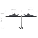 VidaXL Podwójny parasol ogrodowy, stalowy słupek, antracyt, 600x300 cm