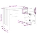 VidaXL Biurko HAMAR, jasnoszare, 113x50x75 cm, lite drewno sosnowe