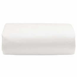 VidaXL Plandeka, biały, 3x4 m, 650 g/m²