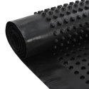 VidaXL Arkusze drenażowe z wgłębieniami, HDPE, 400 g/m², 1x20 m