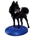 FitPAWS Dysk równoważny dla zwierząt, 56 cm, niebieski