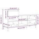 VidaXL Szafka na buty, czarna, 102x36x60 cm, materiał drewnopochodny