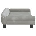 VidaXL Sofa dla dzieci, jasnoszara, 100x50x26 cm, aksamit