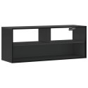 VidaXL Szafka pod TV, czarna, 100x31x39,5 cm, materiał drewnopochodny