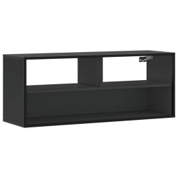 VidaXL Szafka pod TV, czarna, 100x31x39,5 cm, materiał drewnopochodny