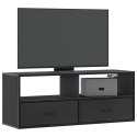 VidaXL Szafka pod TV, czarna, 100x31x39,5 cm, materiał drewnopochodny