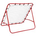 VidaXL Bramka piłkarska treningowa/rebounder, 100 x 100 cm